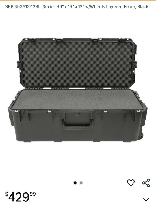 New SKB Hard Case