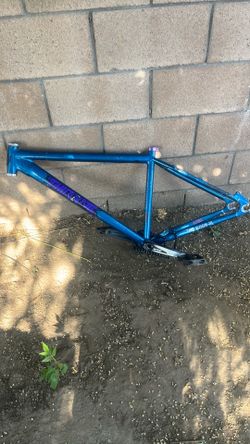 Thorn 29er  frame trade only