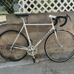 Pinarello Treviso Italian Road Racing Bicycle 54cm Columbus Tubing Shimano 600 Components 