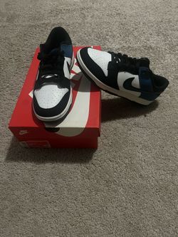 Nike Dunk Low Retro Nas