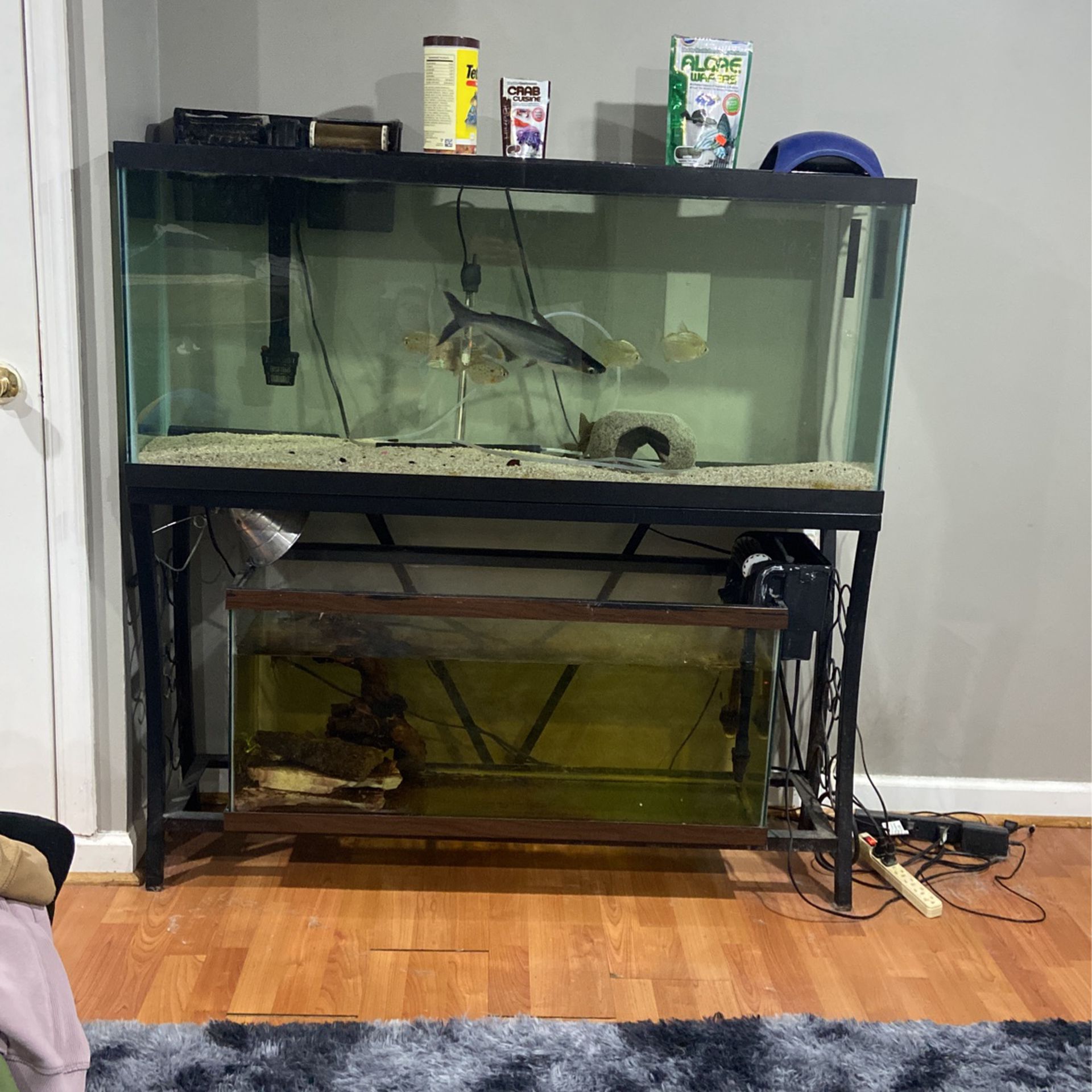 Two Tanks For Sale Together 350 For Everything But The Fish 
