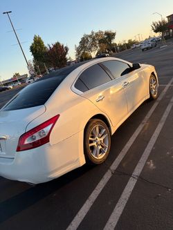 Nissan Maxima White Sedan