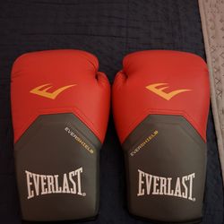 14 Oz Everlast Boxing Gloves