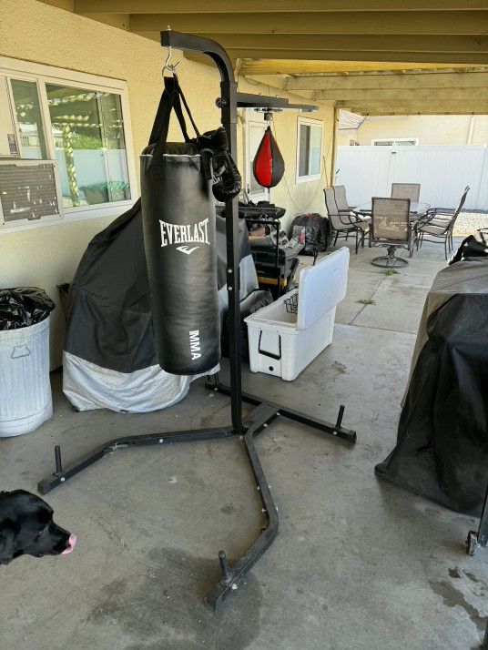 Everlasting Punching Bad / Speed Bag Combo With Stand