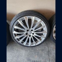 Rines 20's