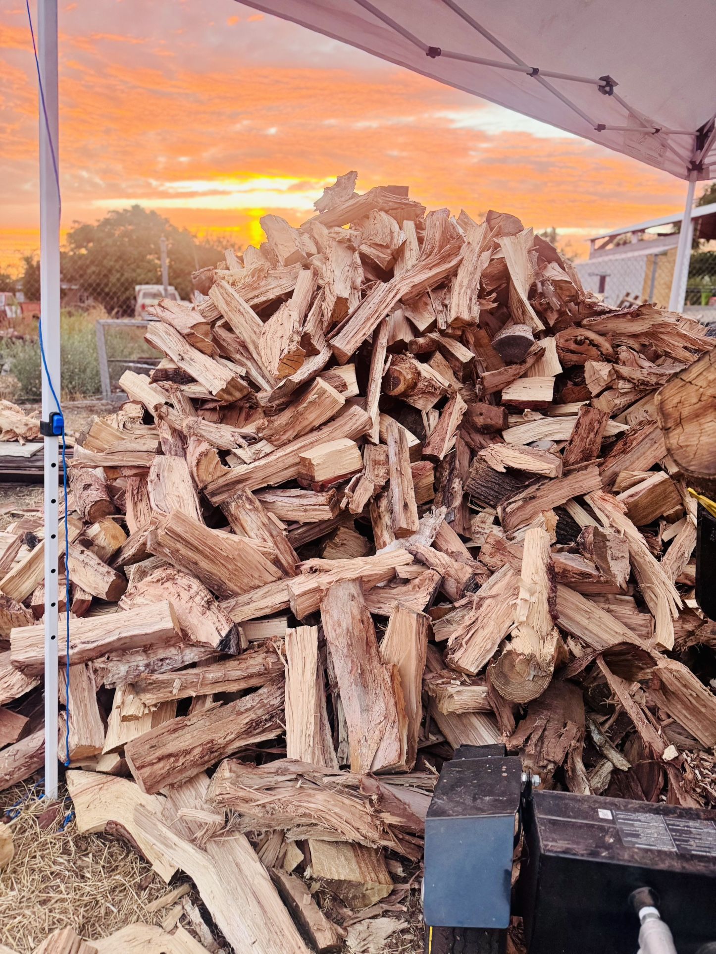Firewood
