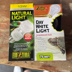 Reptile lights