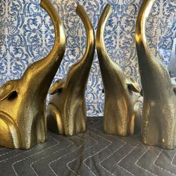 Elephants 