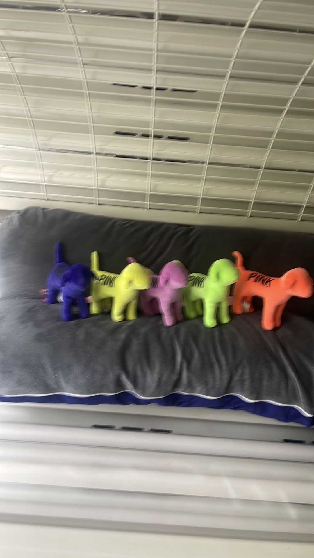 Victoria secret Pink Dogs