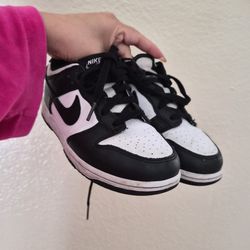 Kids Nike Dunks