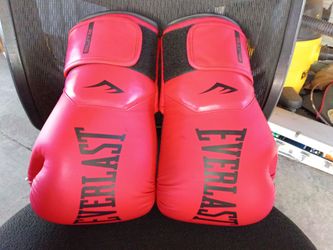 Everlast 16 oz. Boxing Gloves  No packaging (Never used )