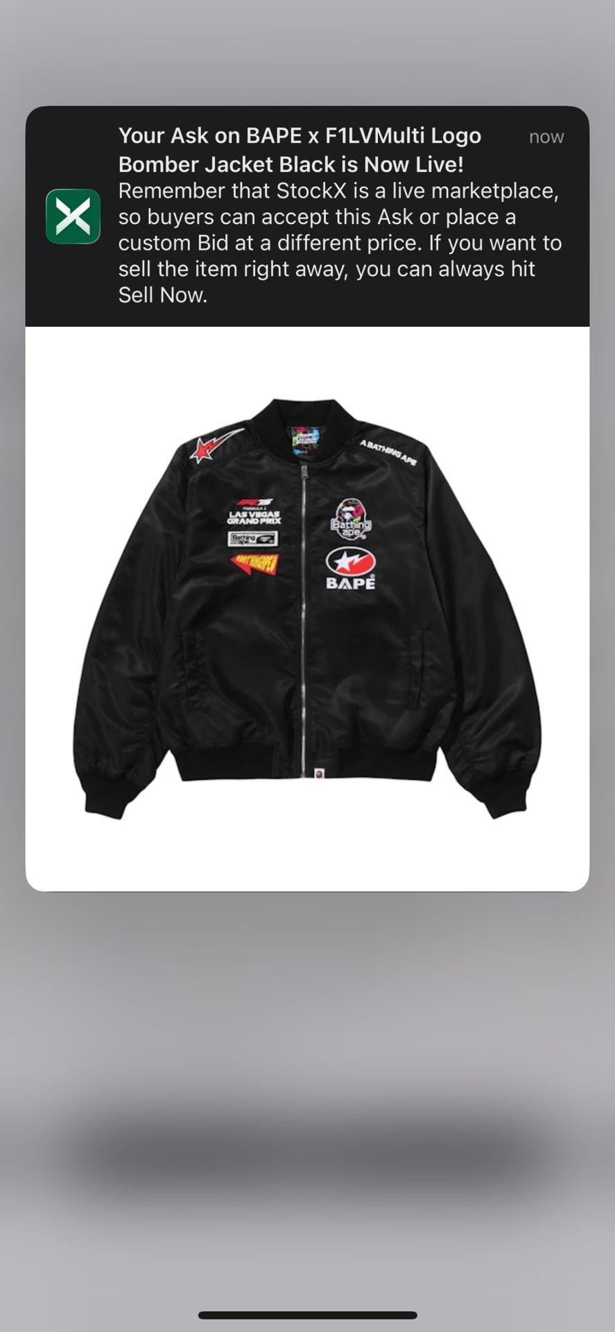 Bape X F1 Jacket Mens