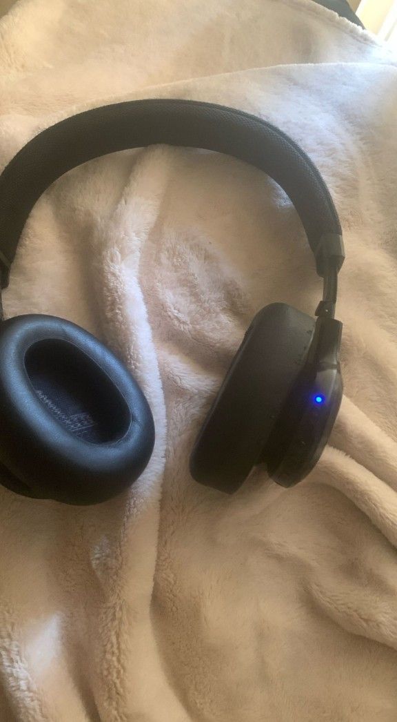 JBL Live Headphones 