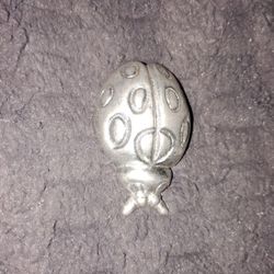 Beetle Bug Paperweight 