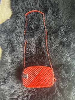 CHANEL CAMERA BAG