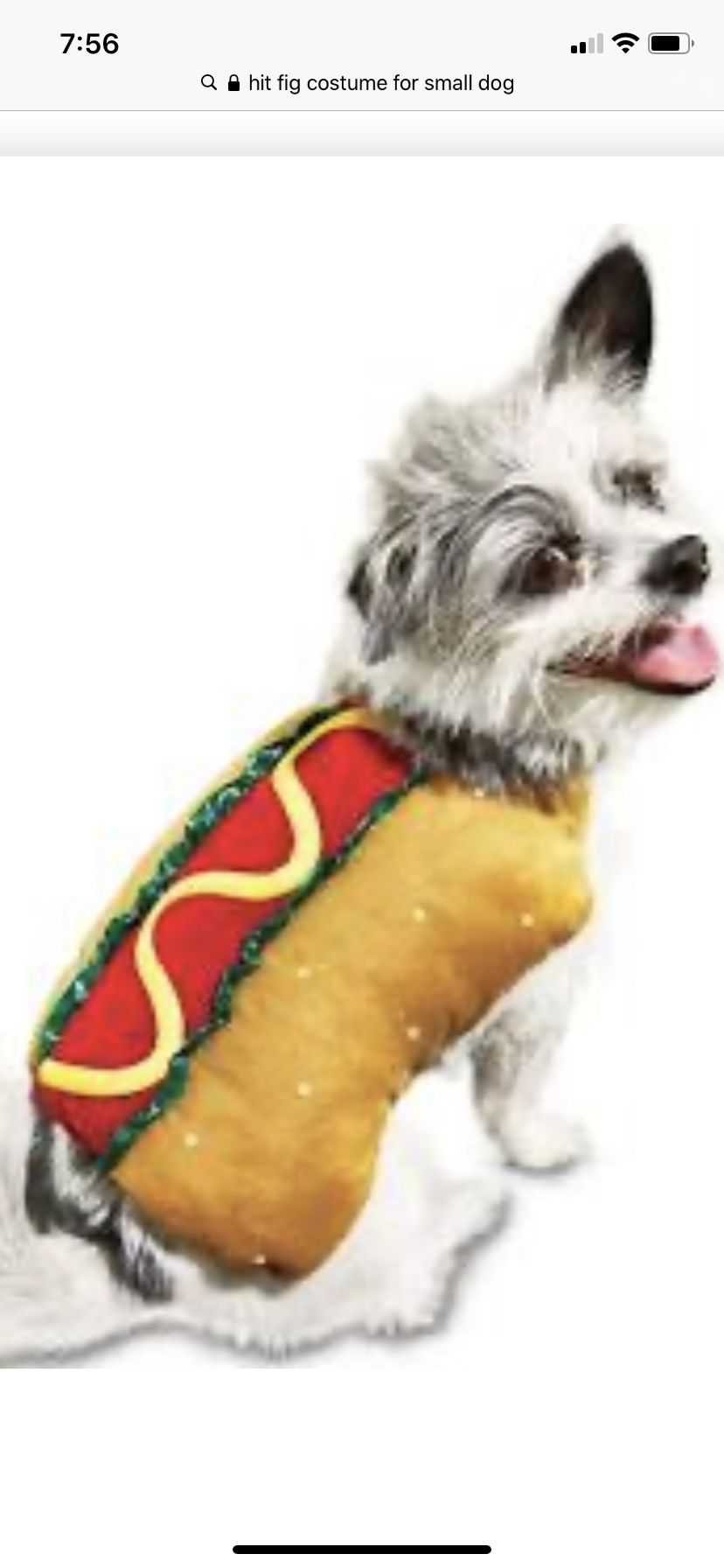 Hot dog costume for small dog - Halloween - size XS