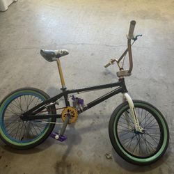 Fully Custom BMX 
