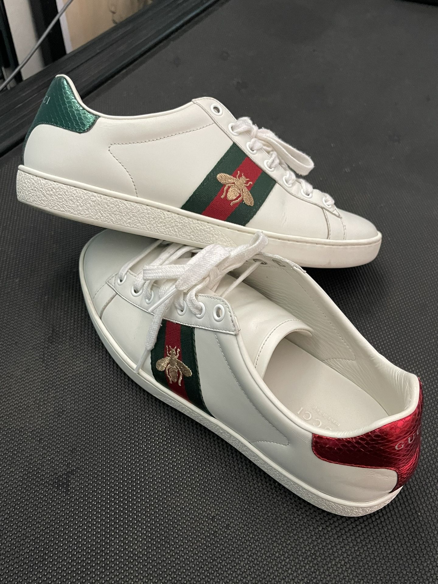 Gucci Ace Sneakers 10000 Authentic for Sale in Santa Ana, CA OfferUp
