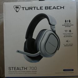 Headset 