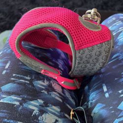 Dog Harness For Small Dog! 