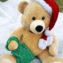 Teddy Bear Plush 20 Inchs