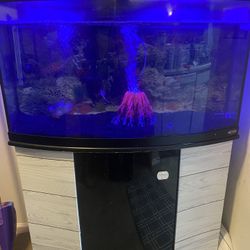 75 Gallon Fish Tank 