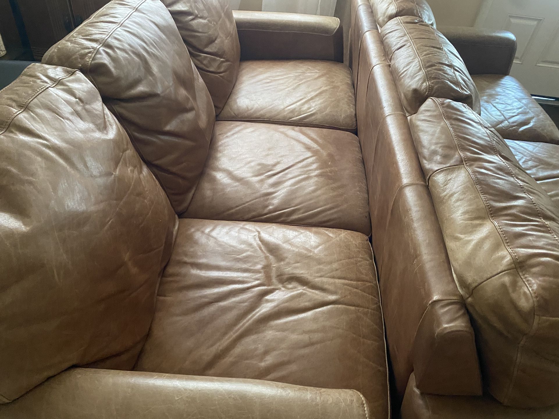 Two Leather Couches