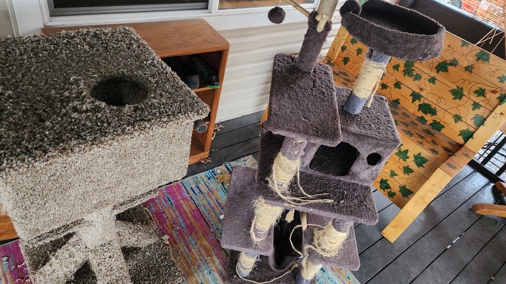 Two Cat Trees For 25 Bucks 