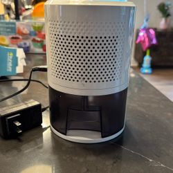 Compact Dehumidifier 