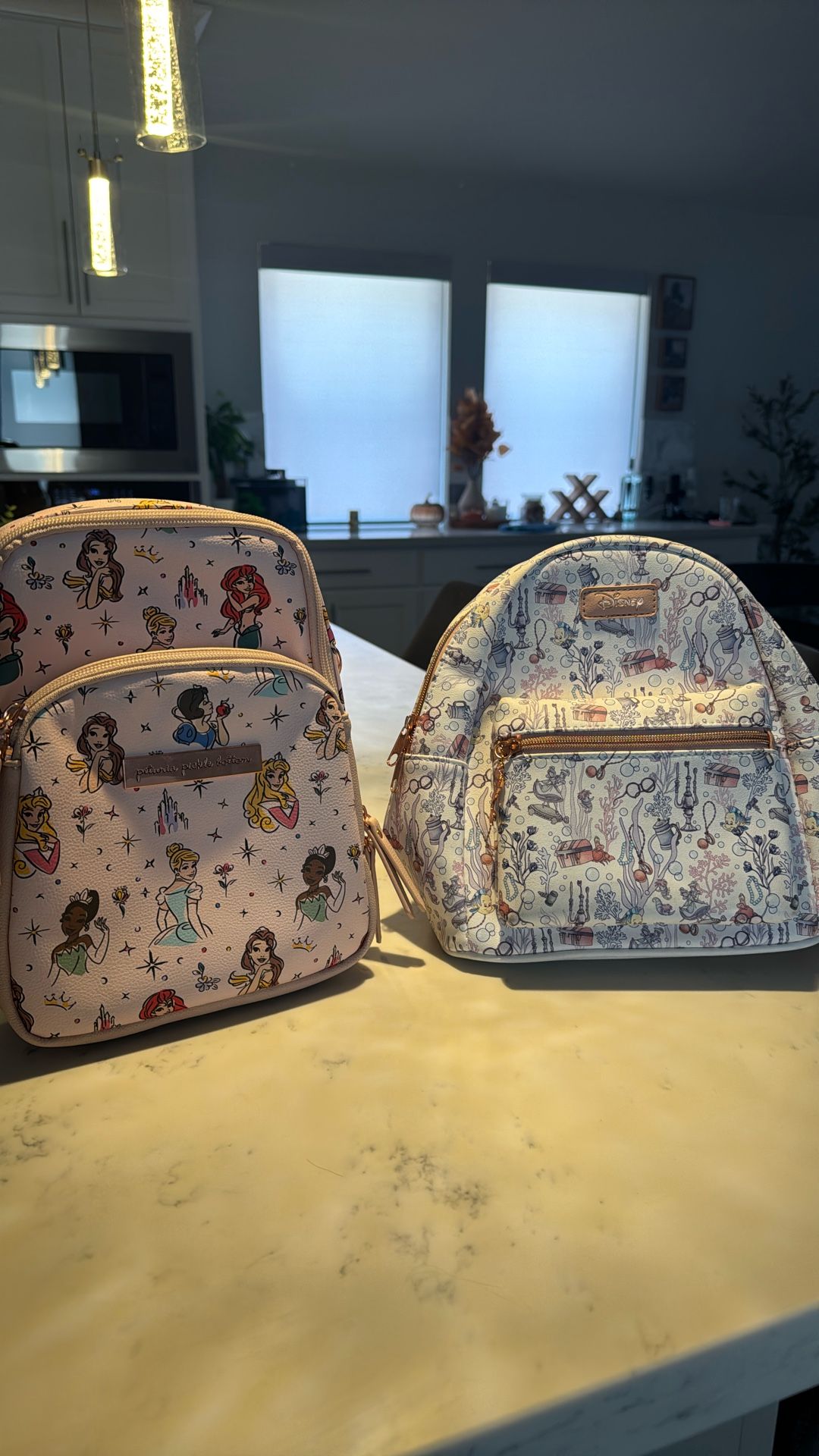 Disney princess Bag Petunia Pickle Bottom