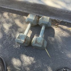 20lb Dumbbells 
