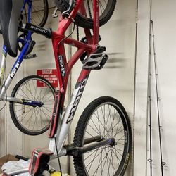 Haro 24 inch cruiser