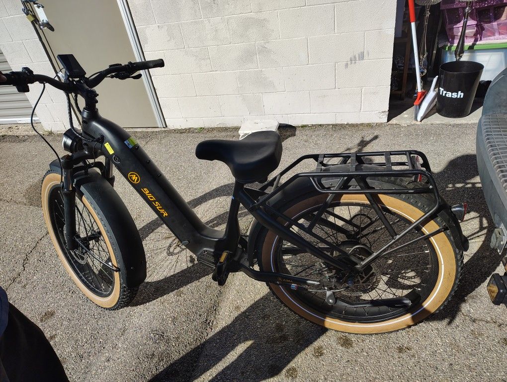 Electronic Bike