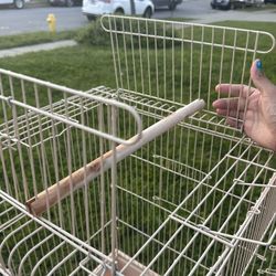 Bird cage and supplies 