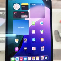 Apple iPad Pro 11 Inch M4 , 256GB 