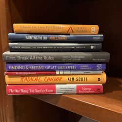 Leadership & Management Book Lot (8) Radical Candor, Lencioni, Buckingham Books