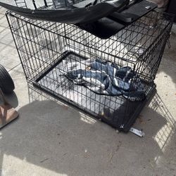 Dog Cage 