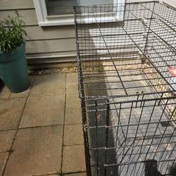 .Big dog cage