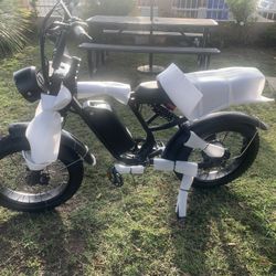 NEW BLUVALL ELECTRIC BIKE 