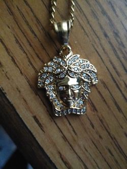 Stainless steel Medusa chain & pendant