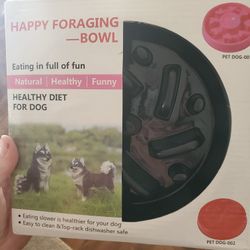 Dog Bowl