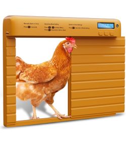 Auto Chicken Coop Door