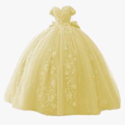 Quinceañera Dress 