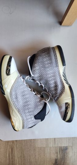 Air Jordan 23 White Stealth