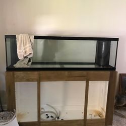 Saltwater Reef Tank