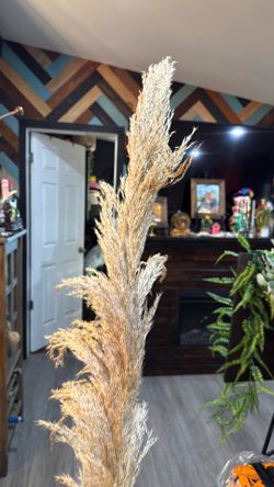 Natural Pampas