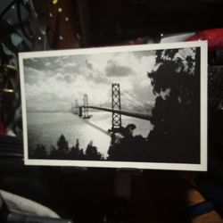 Real Picture Post Cards.   Lot Of Three.