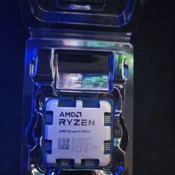 AMD Ryzen 9 7900x 