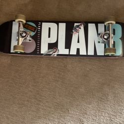 Complete Skateboard 7.75”