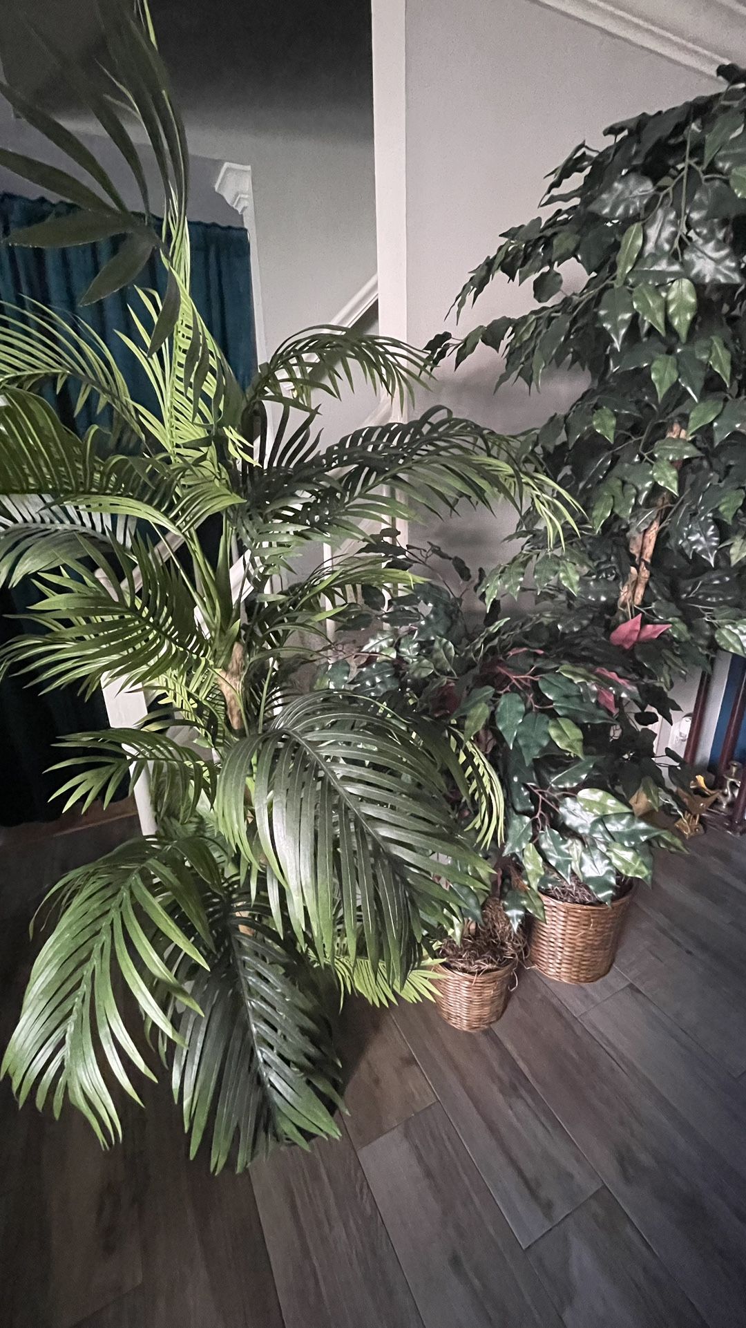 3 Fake Plants 